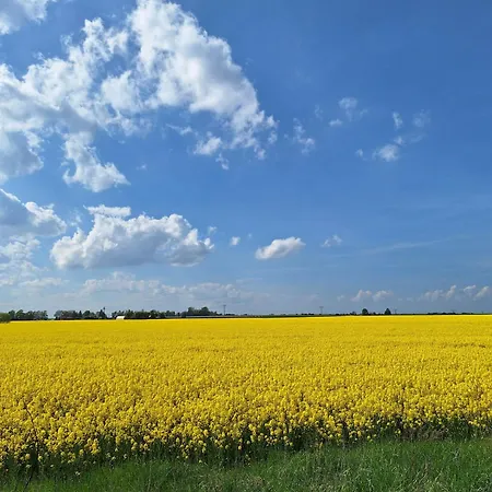 Lejlighed Graf Alte Baeckerei Karlshagen