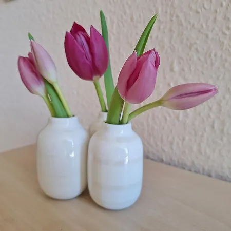 Apartament Graf Alte Baeckerei Karlshagen